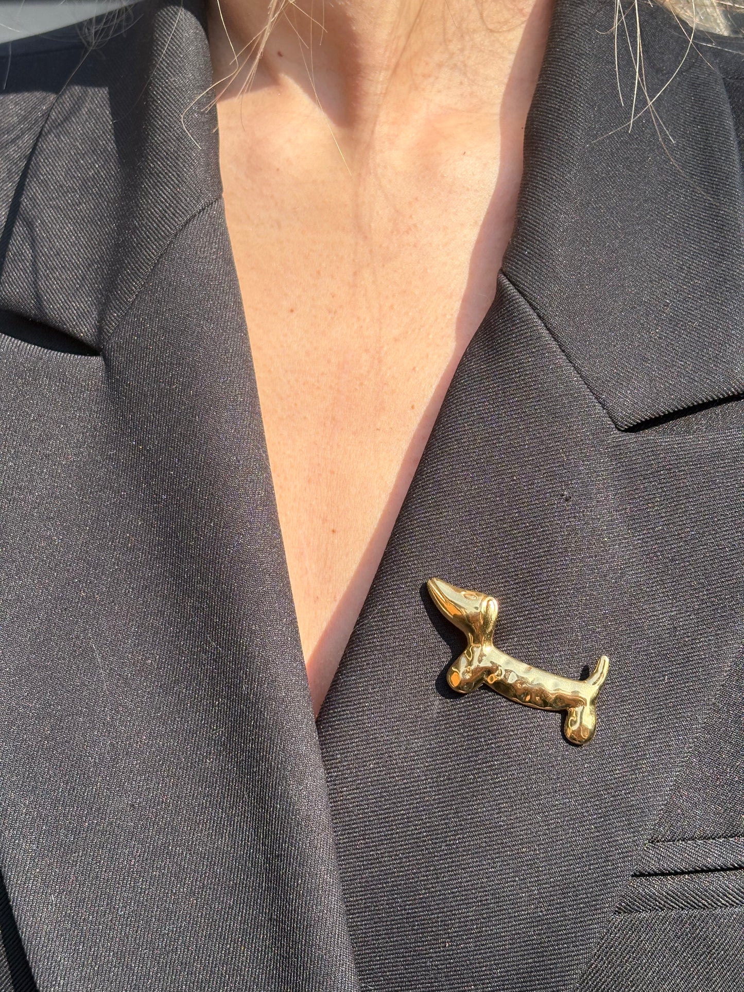 Broche Aria - Chien Teckel Motif Martelée