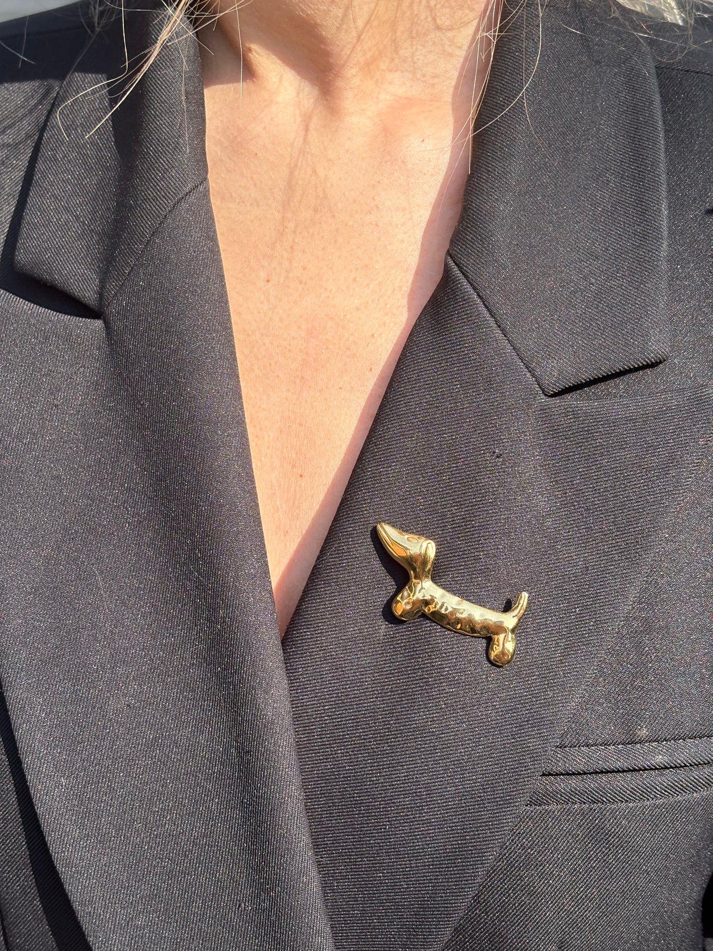 Broche Aria - Chien Teckel Motif Martelée